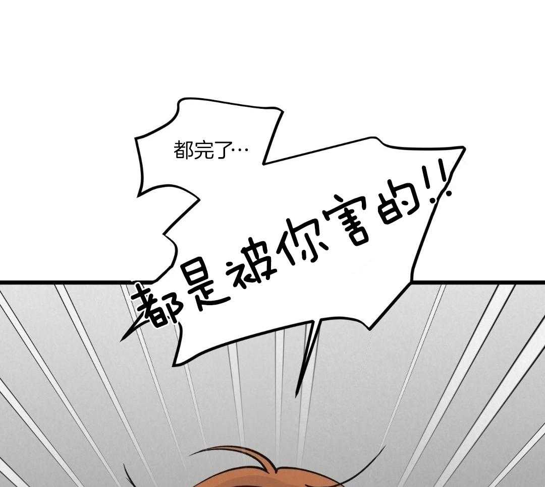 黄金搭档第40话图