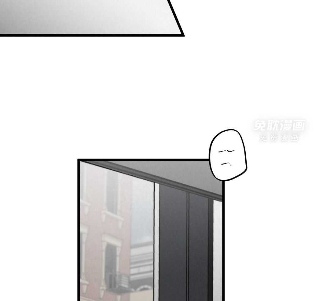 黄金搭档第41话图