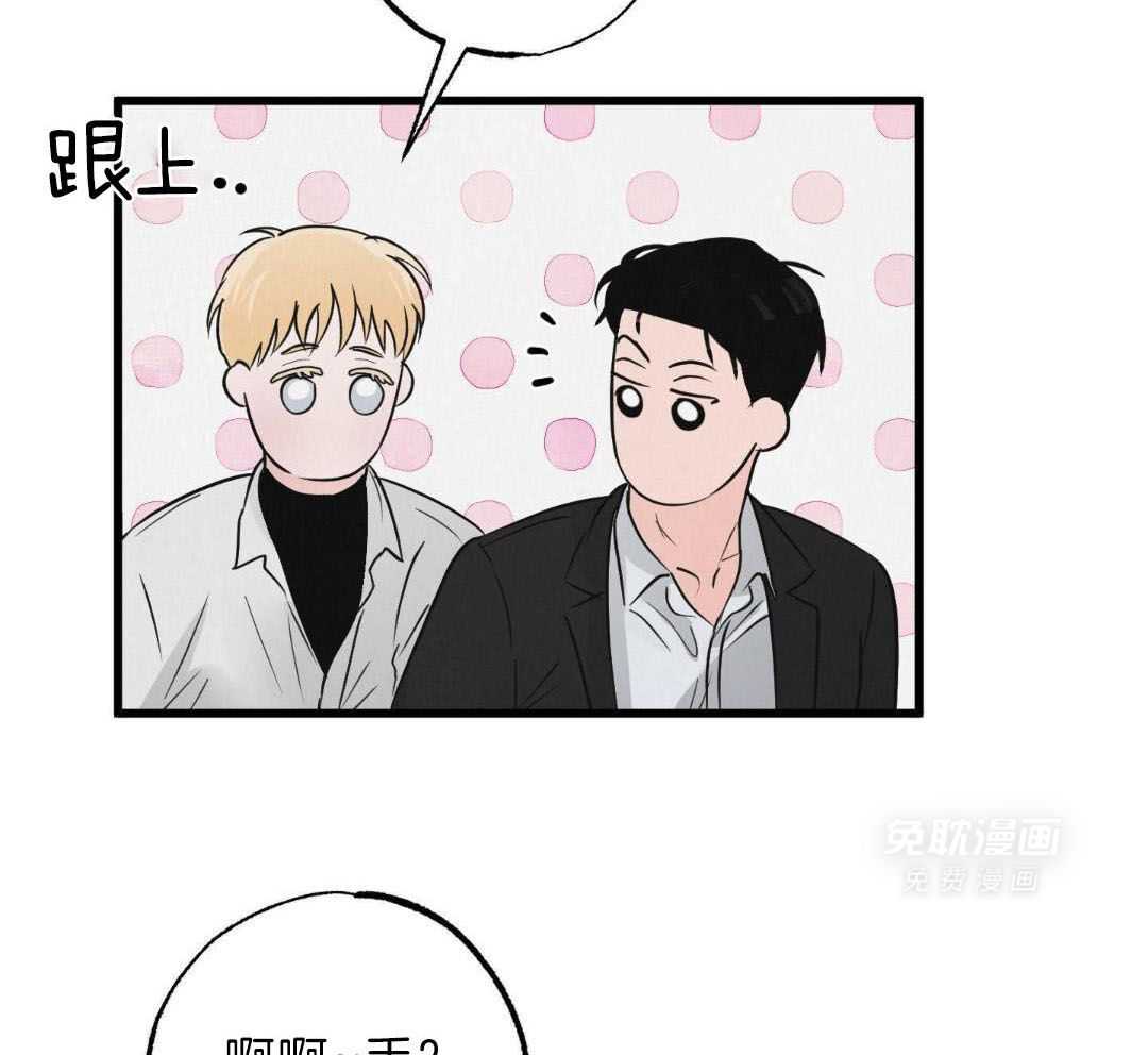 黄金搭档第6话图