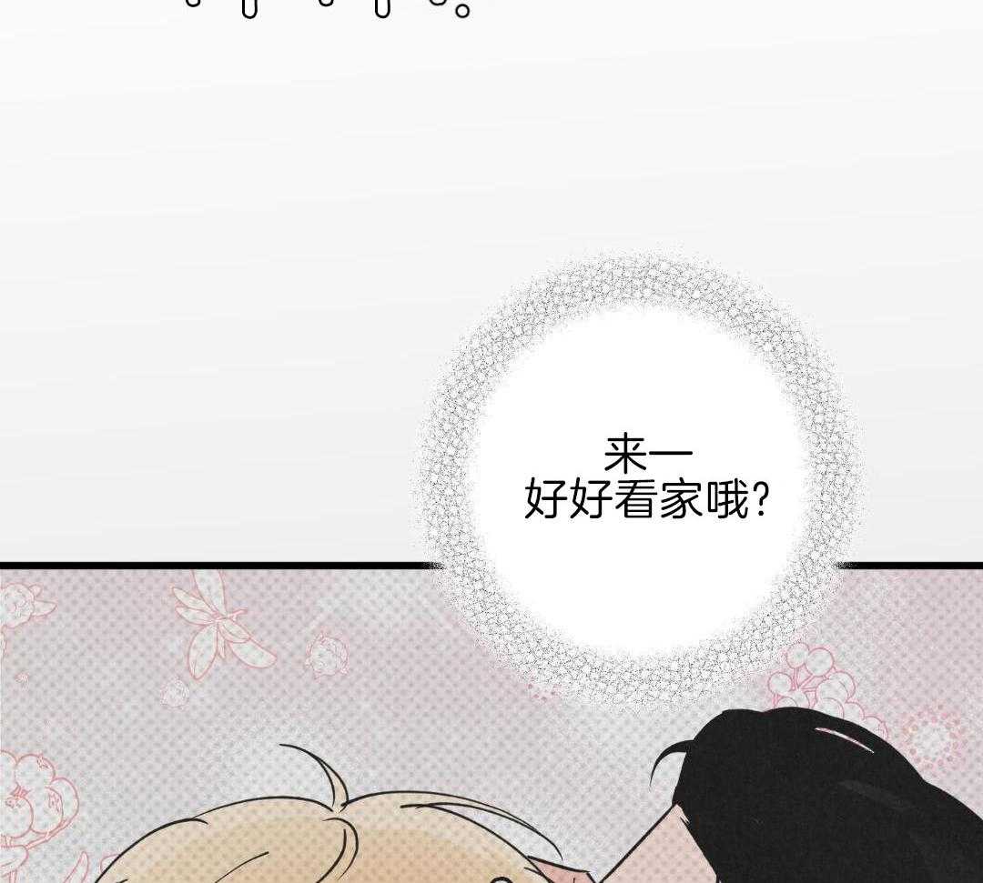 黄金搭档第9话图