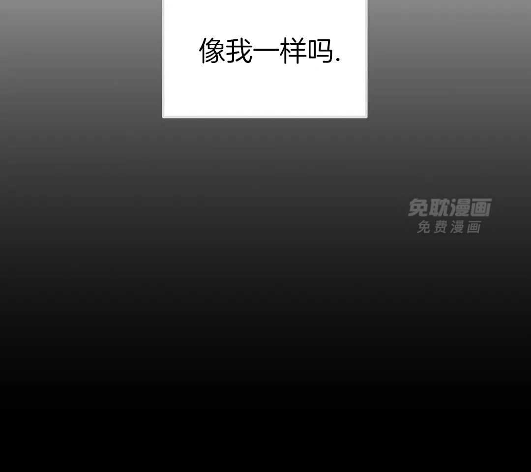 虎从天降第28话图