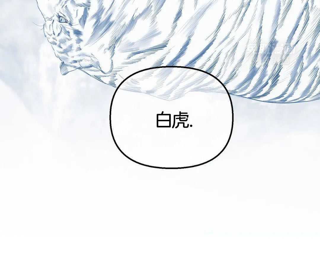 虎从天降第29话图