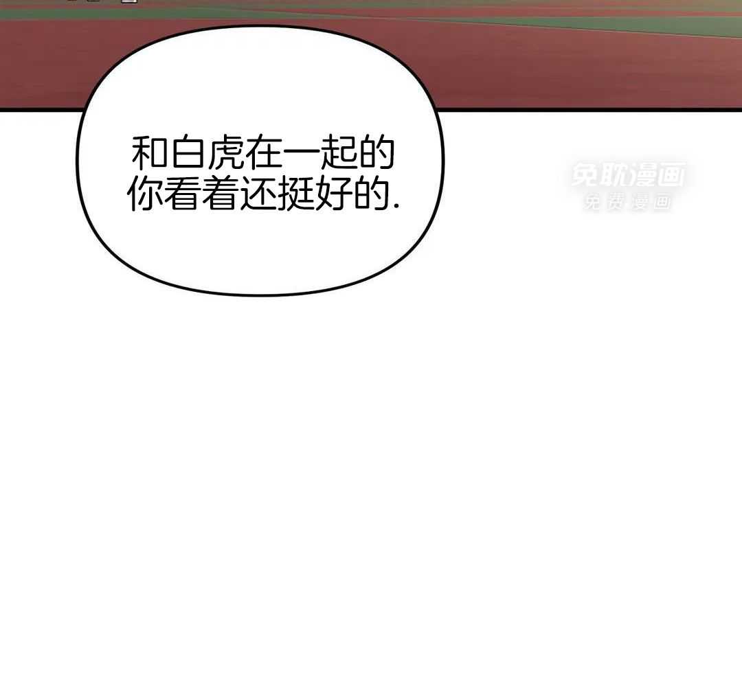 虎从天降第45话图