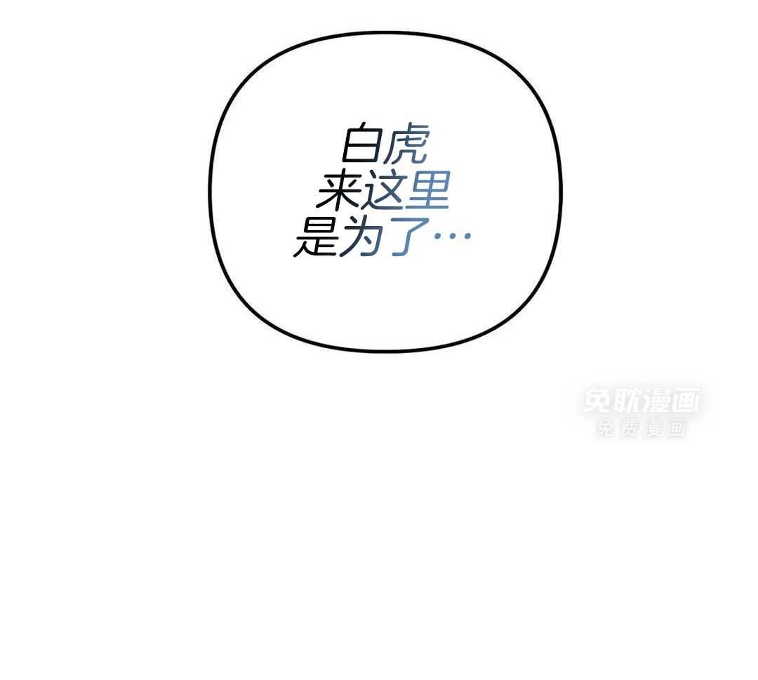 虎从天降第47话图