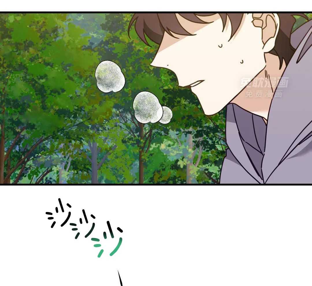 虎从天降第66话图