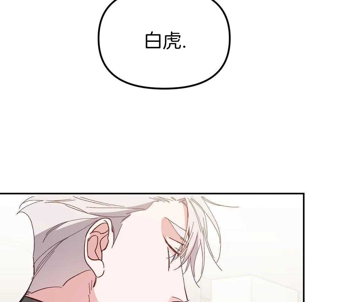 虎从天降第7话图