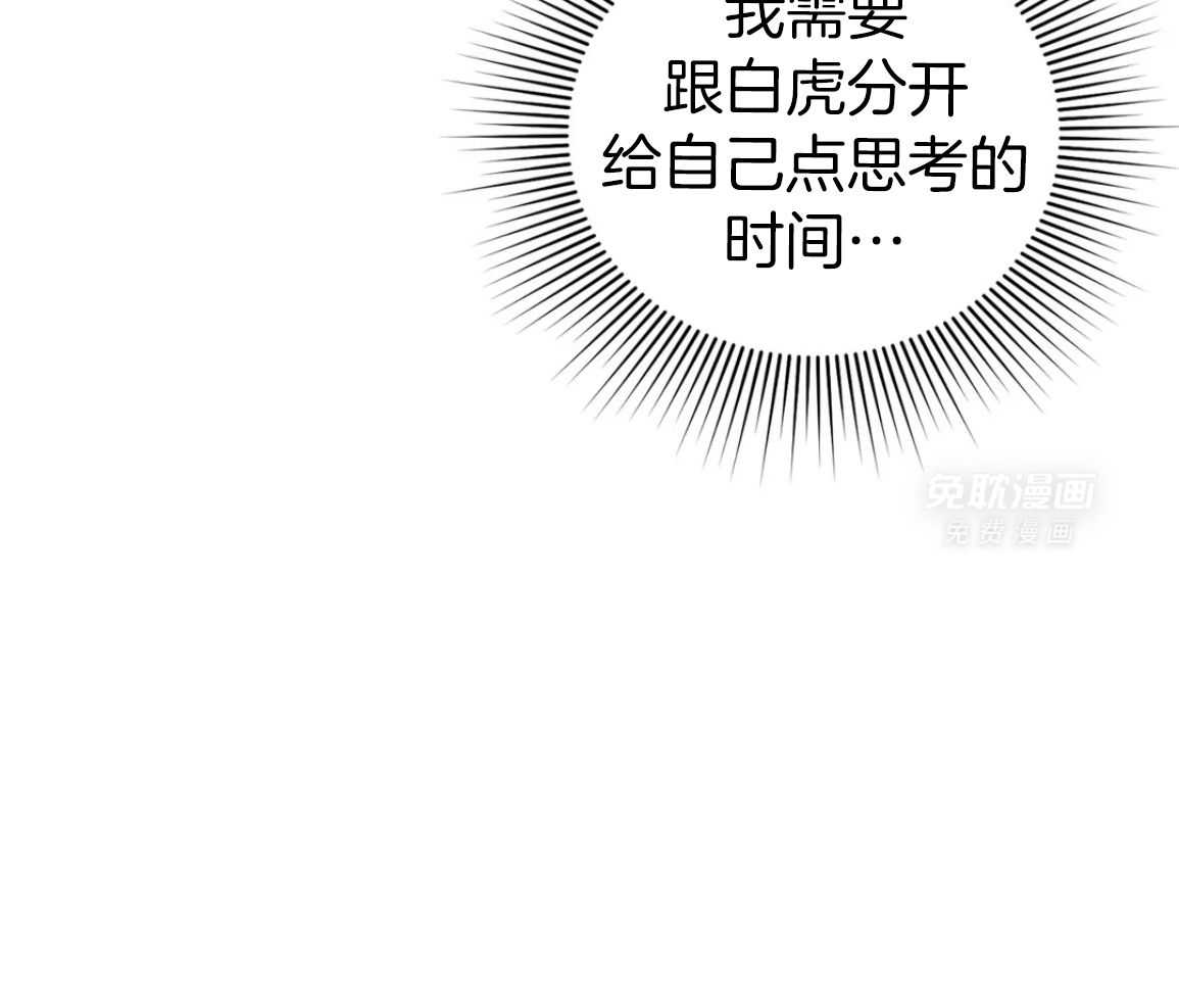 虎从天降第70话图