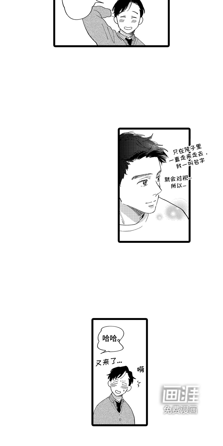 红豆与爱情第12话图