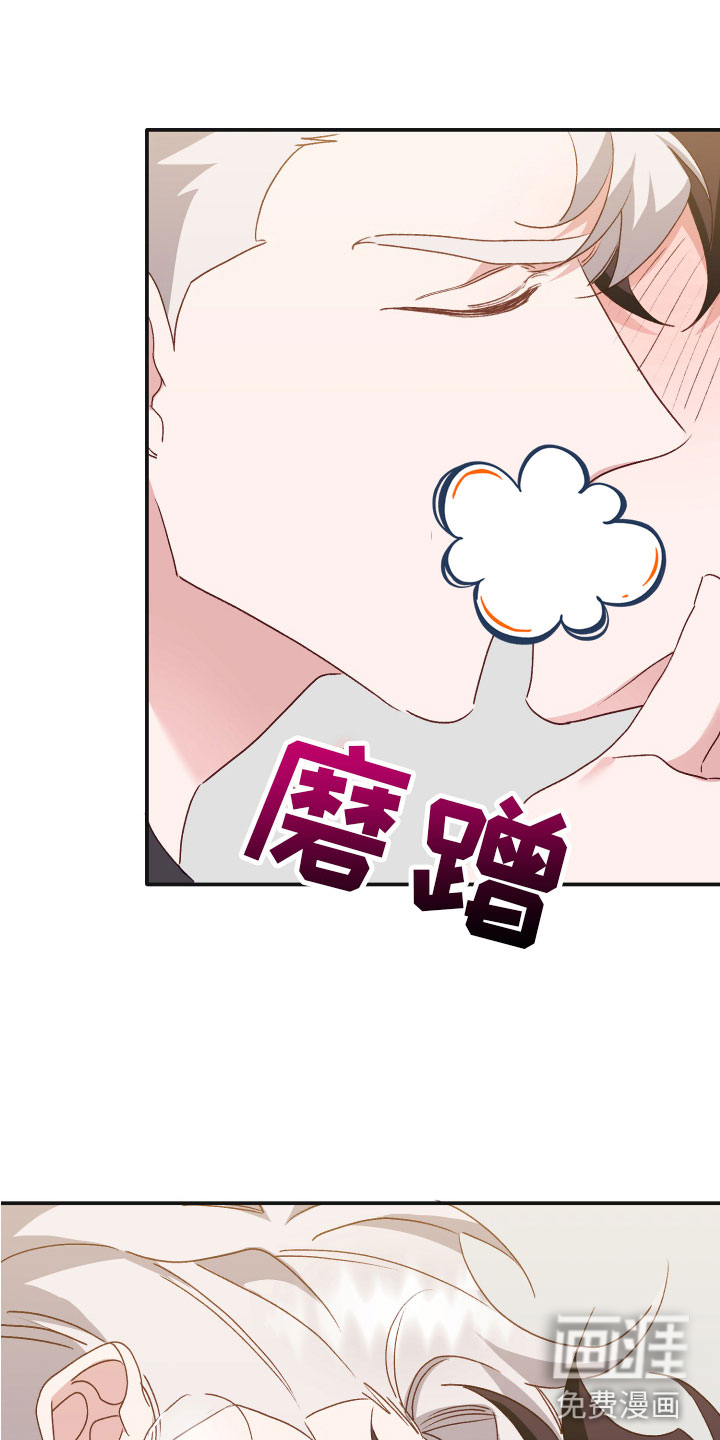 虎的声音第13话图