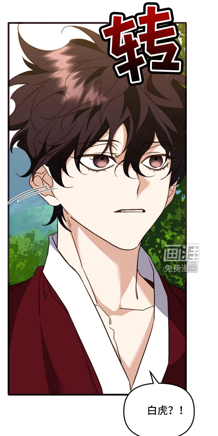 虎的声音第28话图