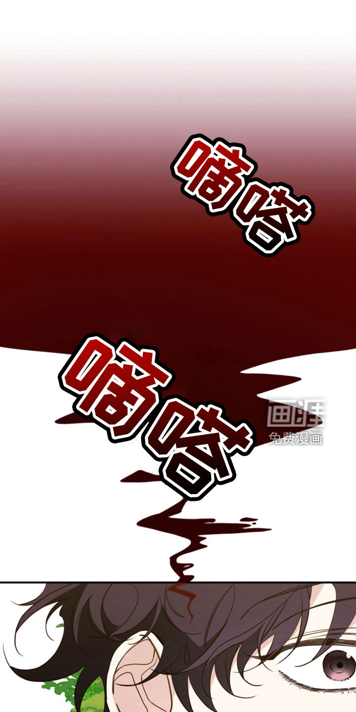 虎的声音第29话图