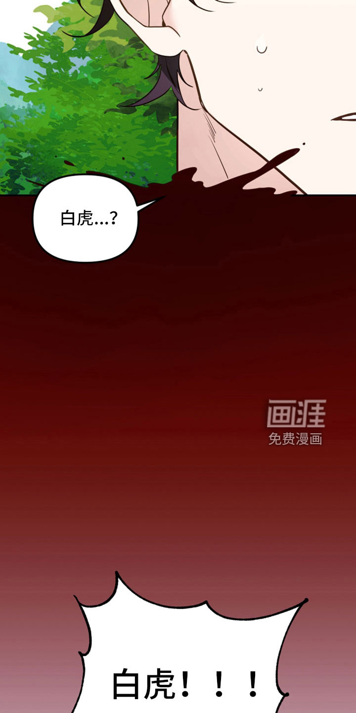 虎的声音第29话图