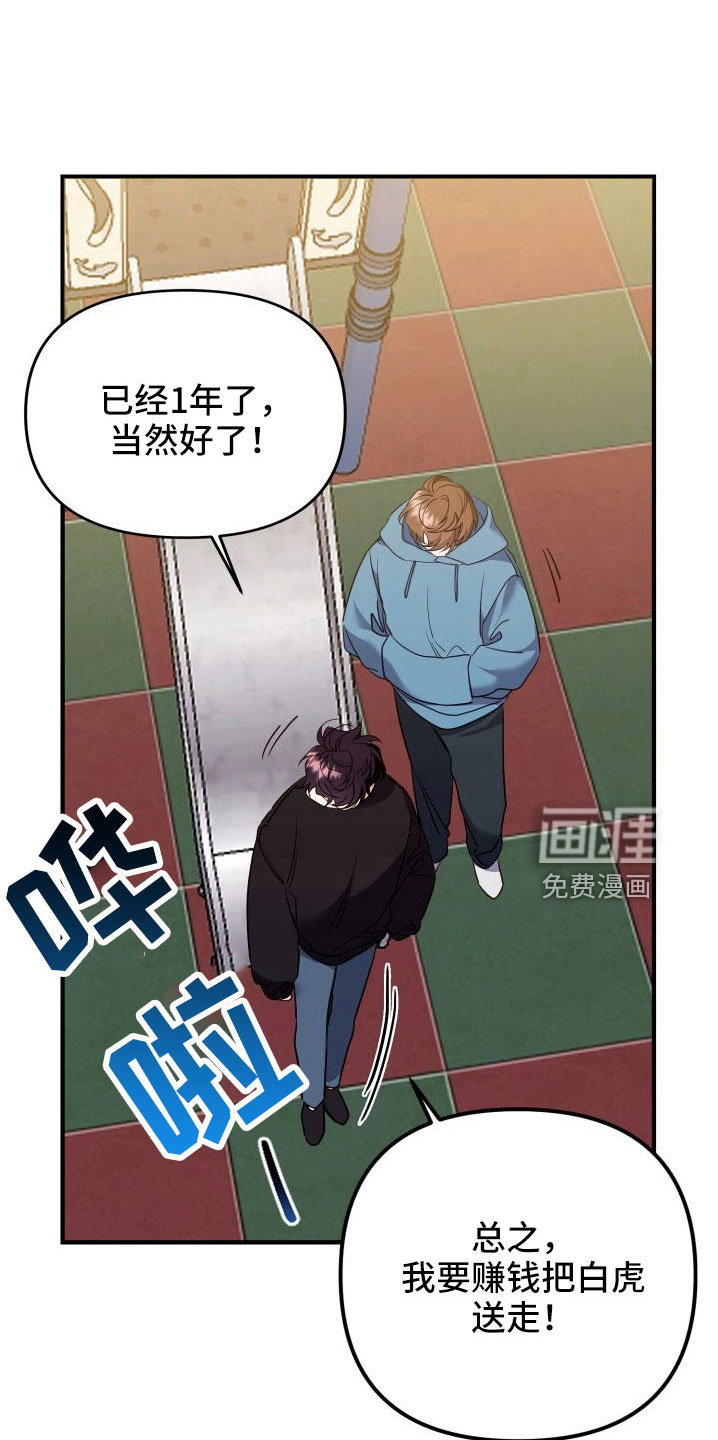 虎的声音第34话图