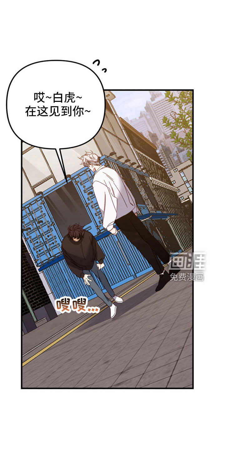 虎的声音第36话图