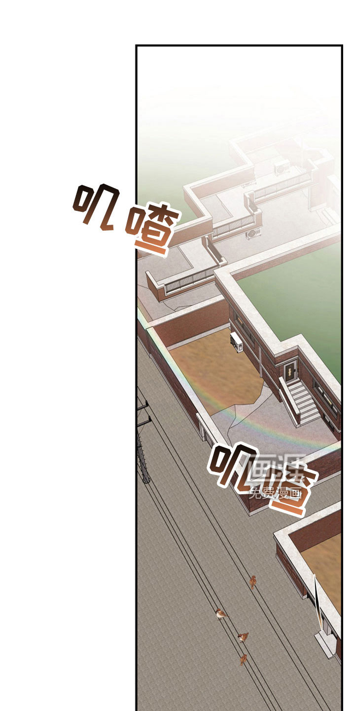 虎的声音第44话图