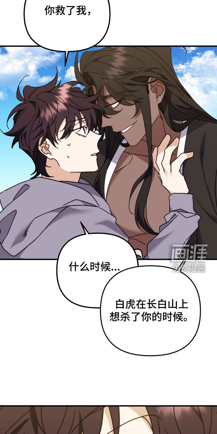 虎的声音第49话图