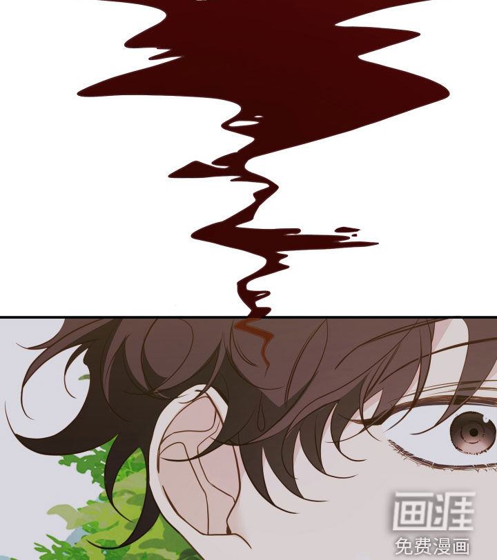 虎的声音第49话图