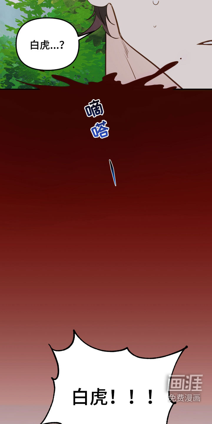 虎的声音第49话图