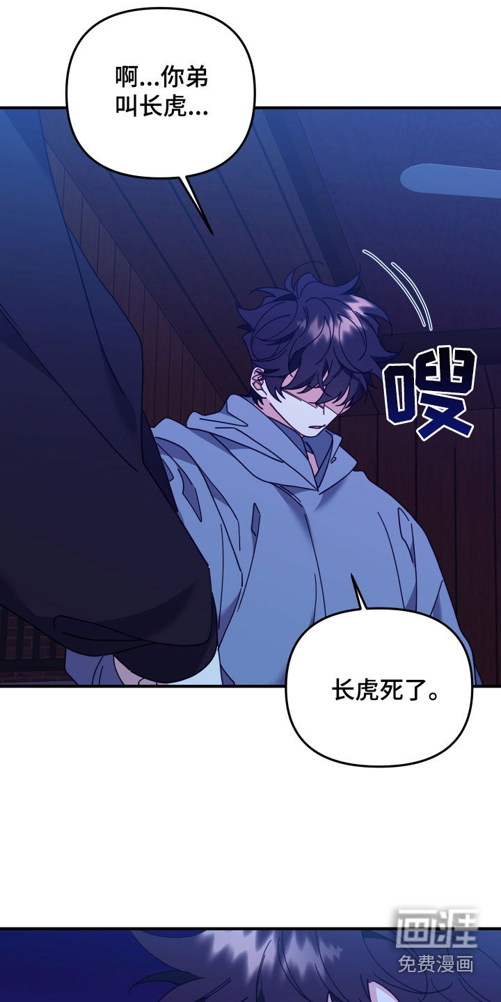 虎的声音第49话图