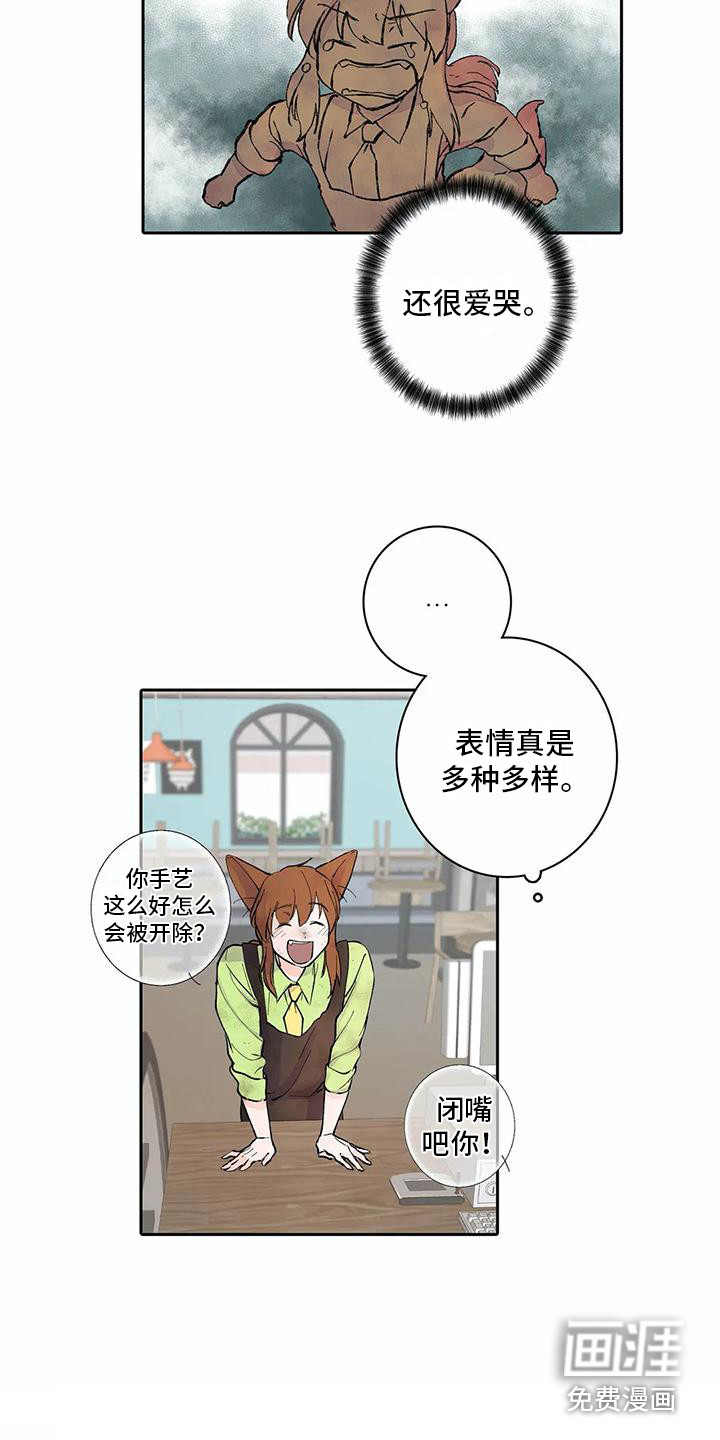 狐狸咖啡店第11话图