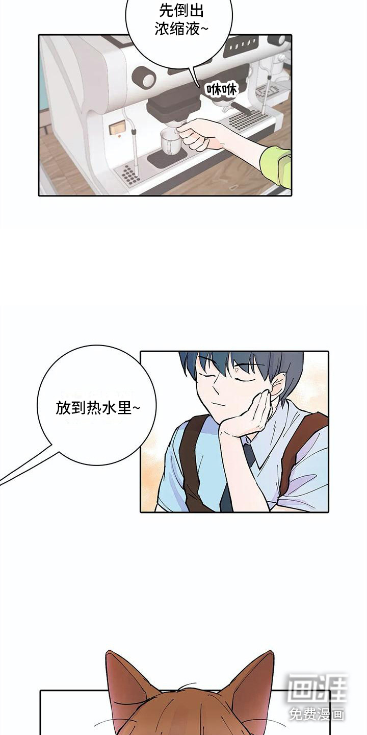 狐狸咖啡店第11话图