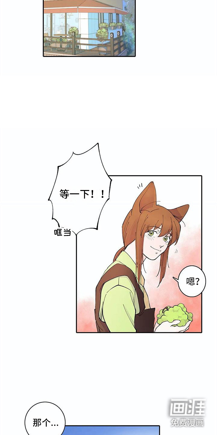 狐狸咖啡店第11话图