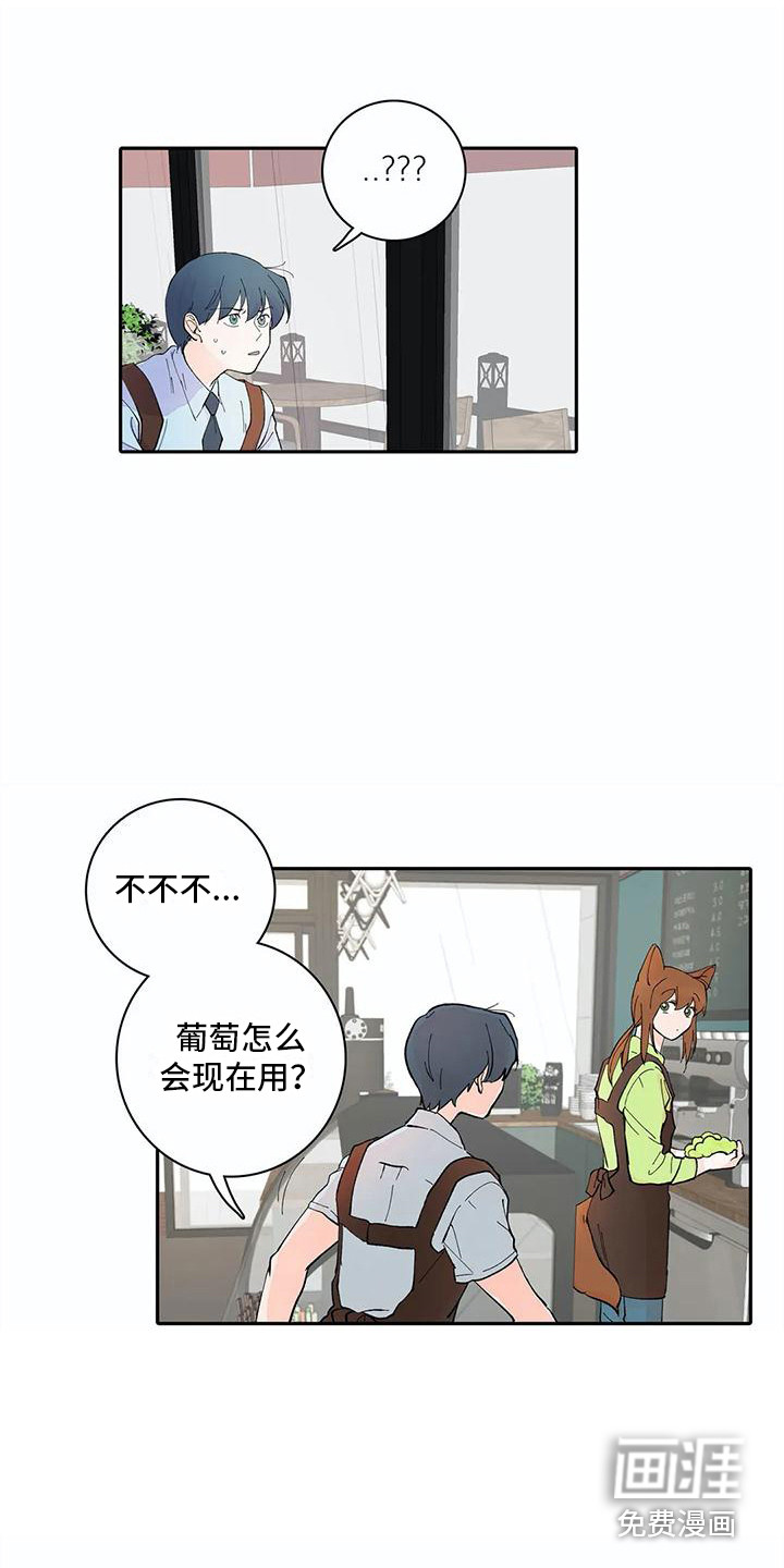 狐狸咖啡店第11话图