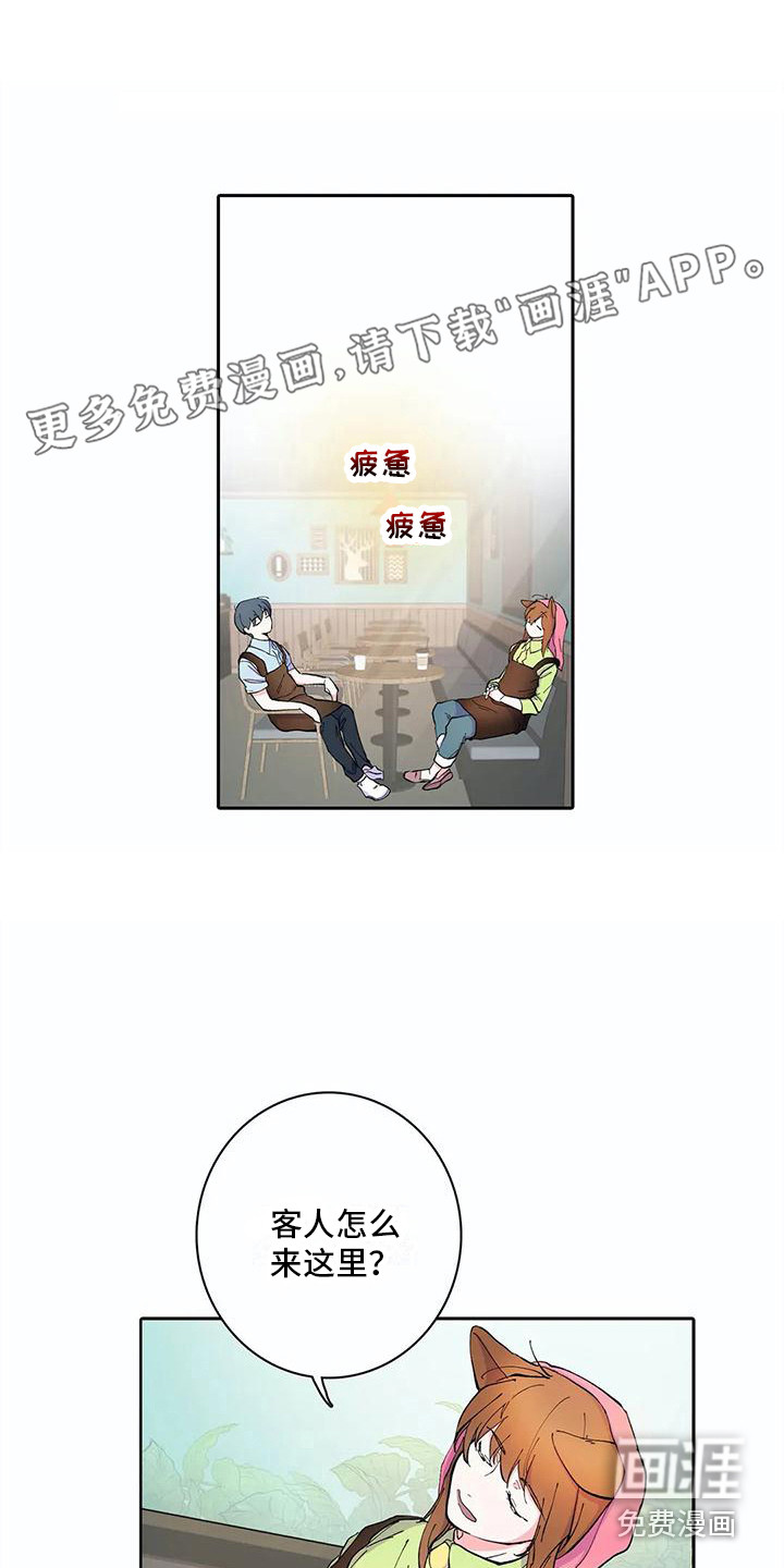 狐狸咖啡店第17话图