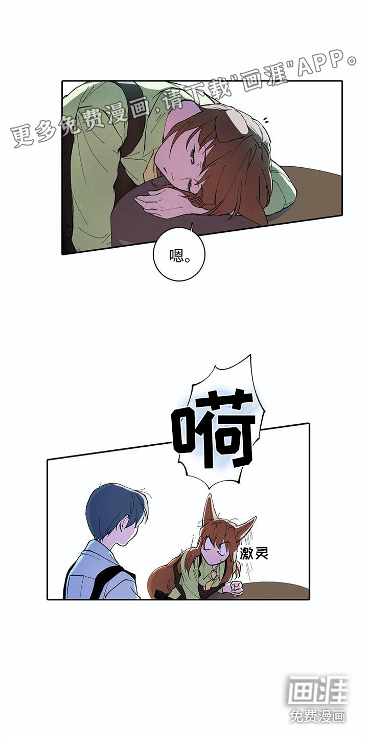 狐狸咖啡店第18话图