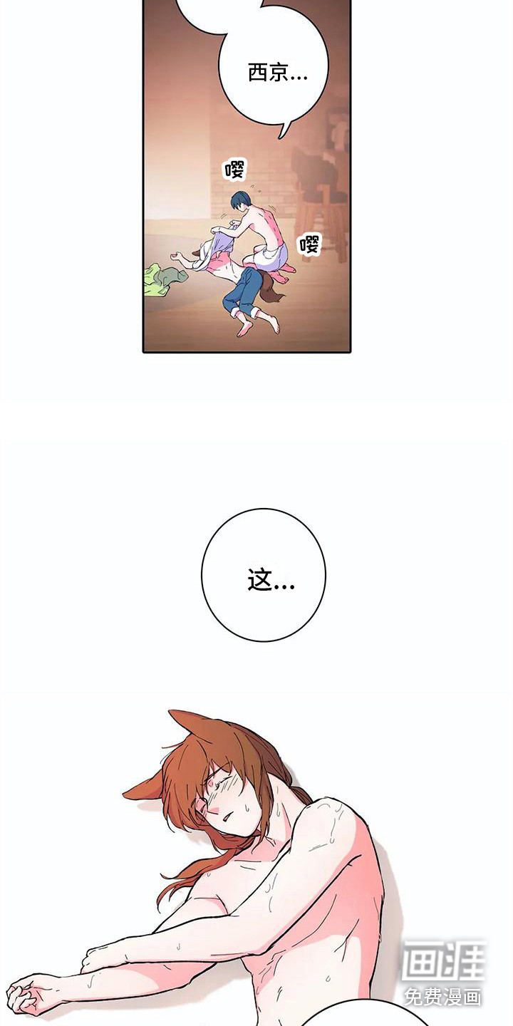 狐狸咖啡店第18话图