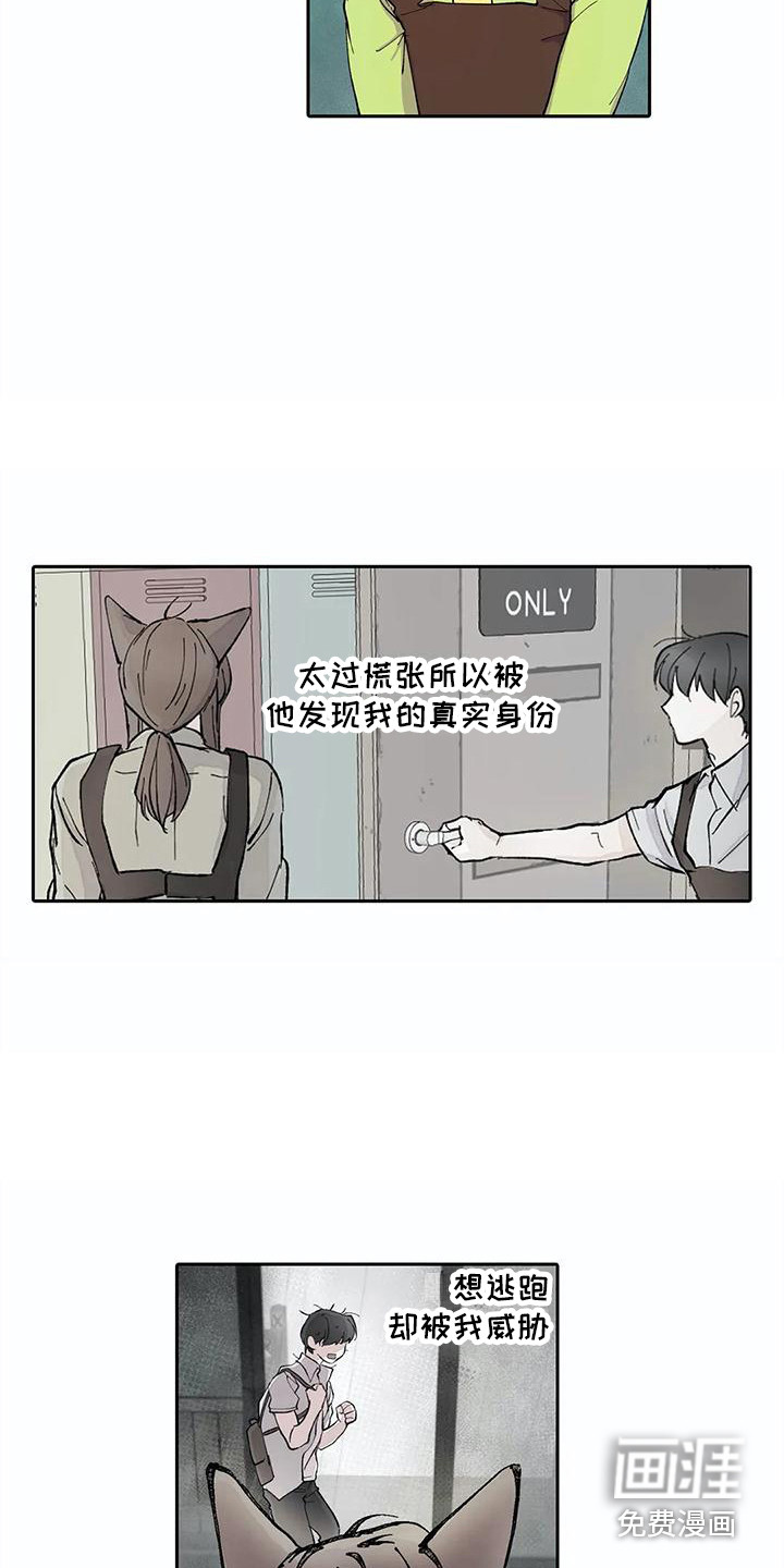 狐狸咖啡店第31话图