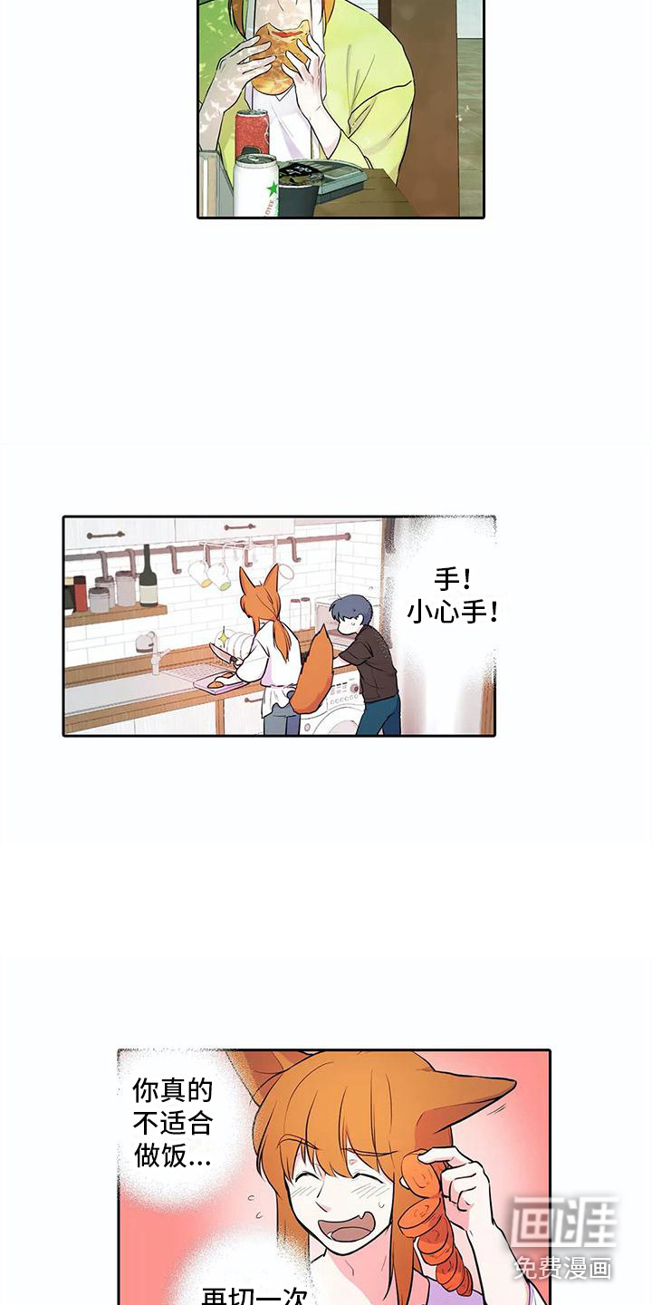 狐狸咖啡店第33话图