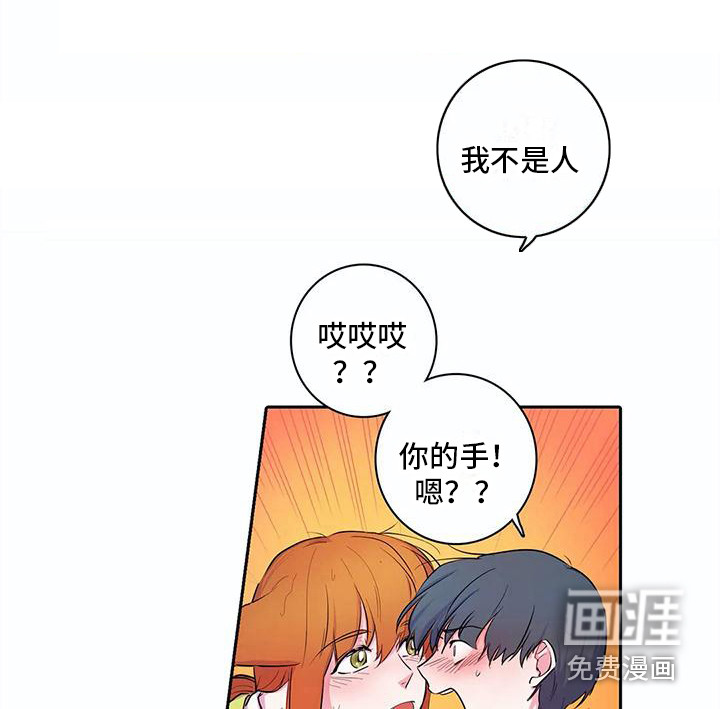 狐狸咖啡店第37话图