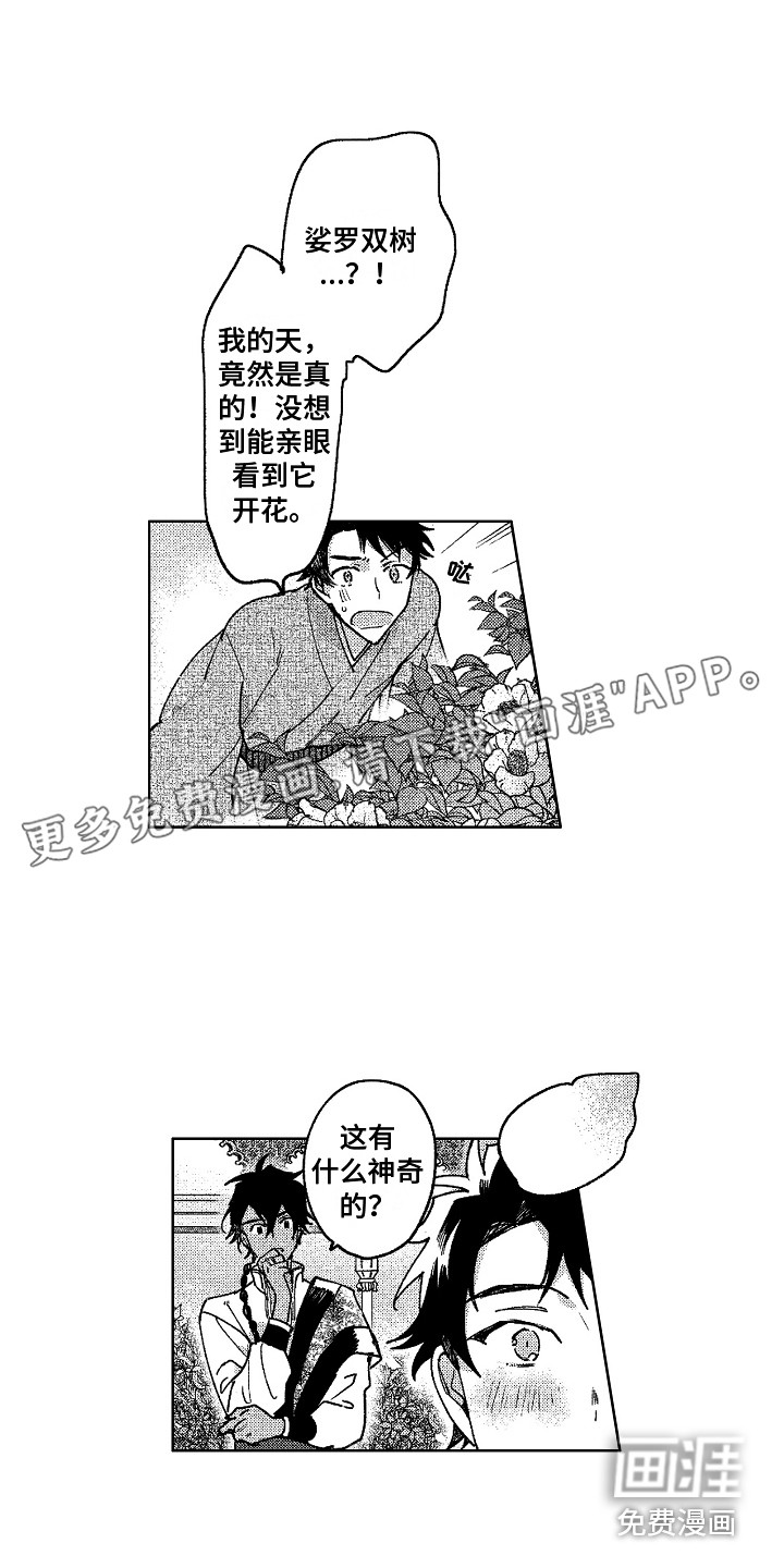 花艺世家第20话图