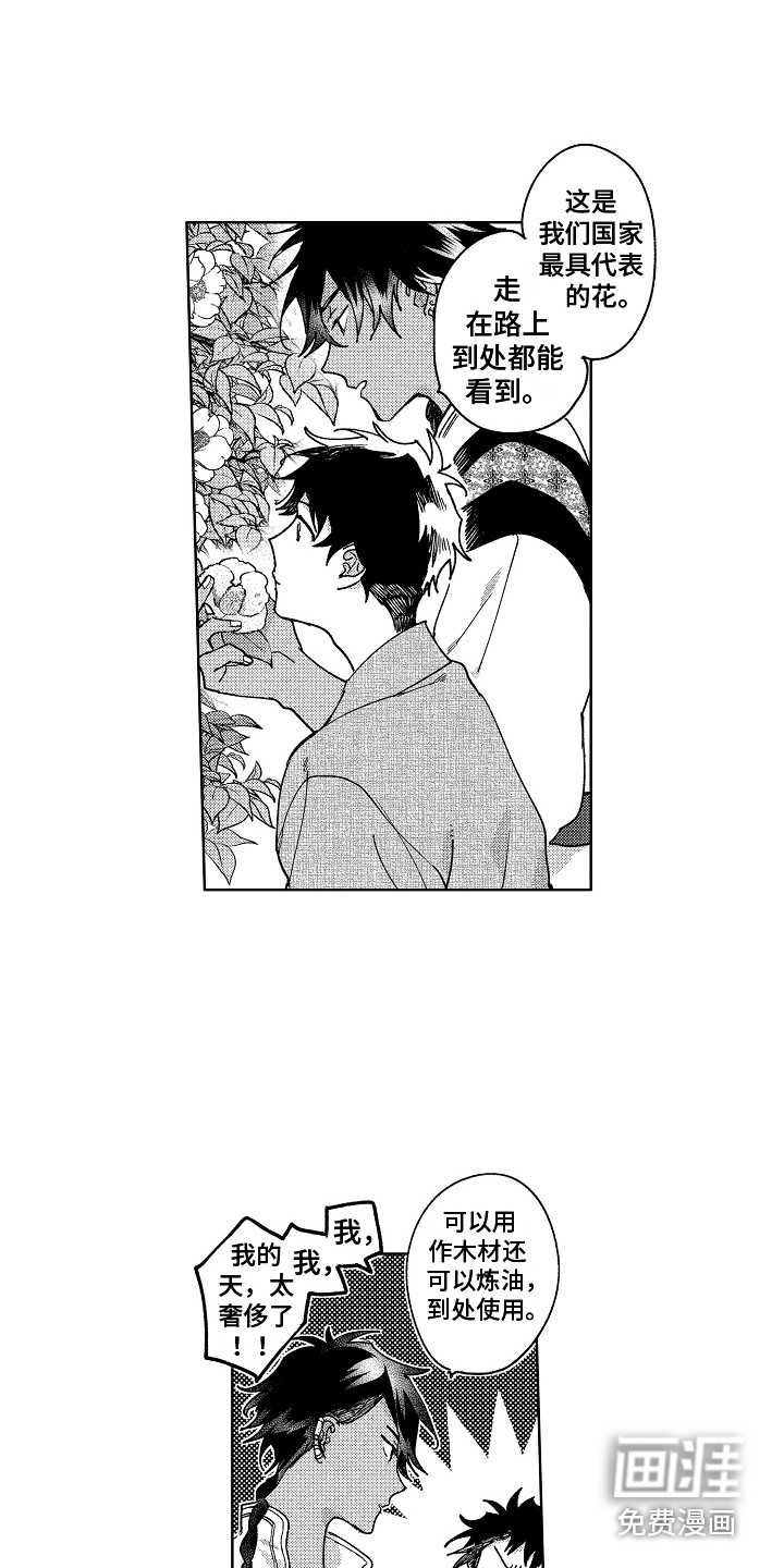 花艺世家第20话图