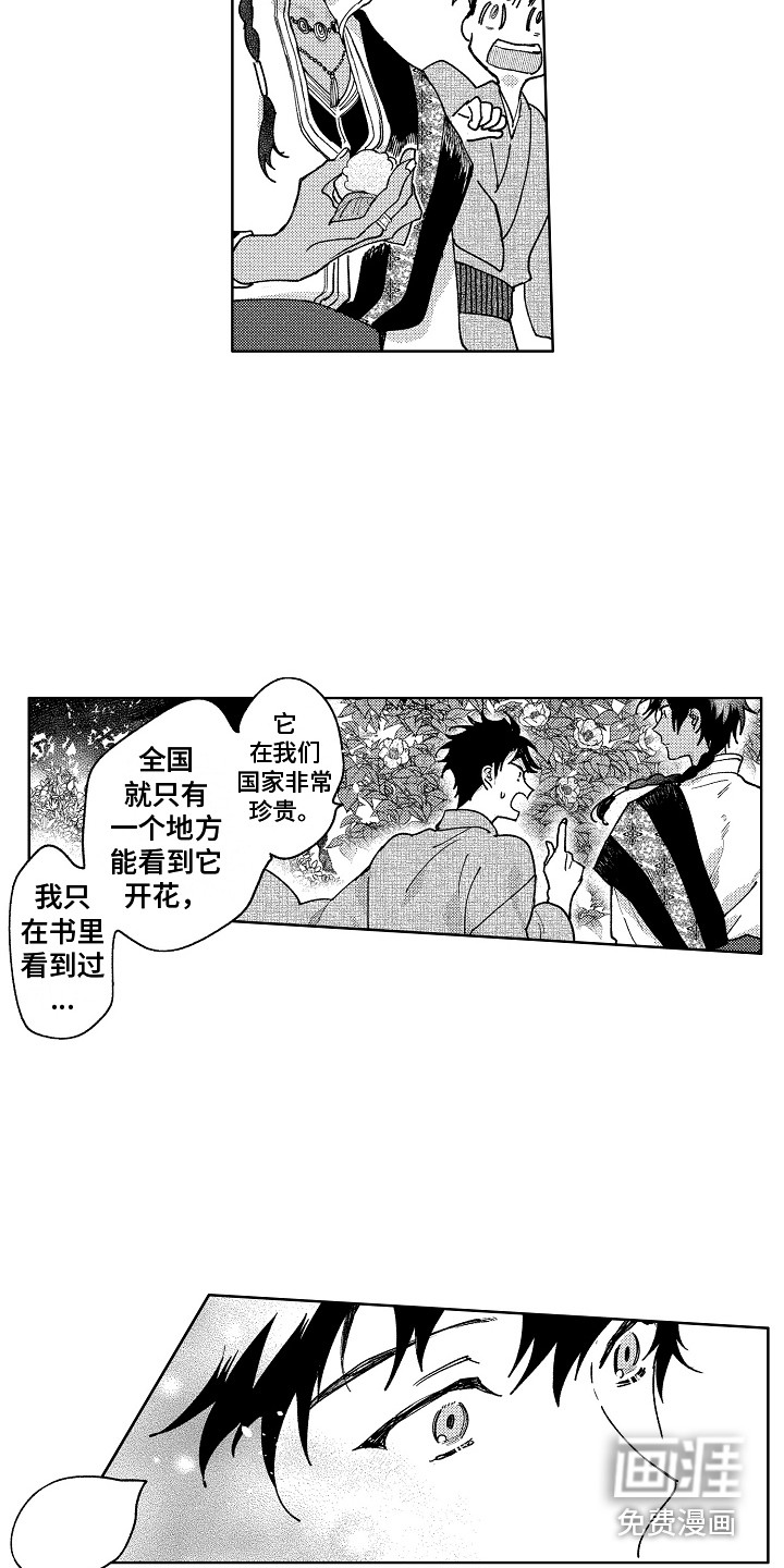 花艺世家第20话图