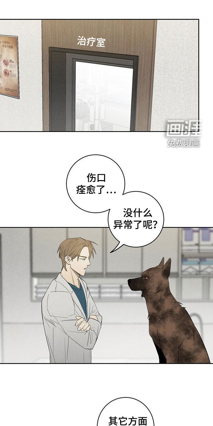 黑犬第13话图
