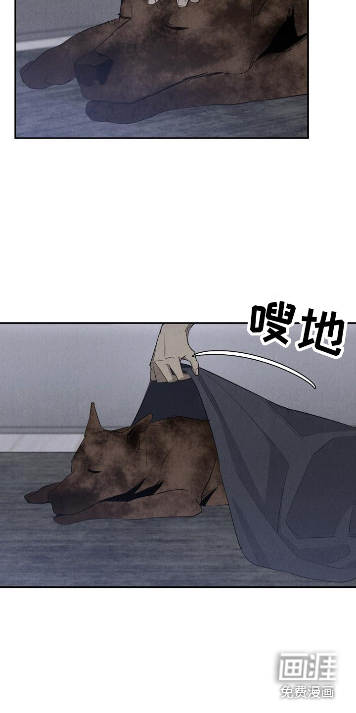 黑犬第9话图