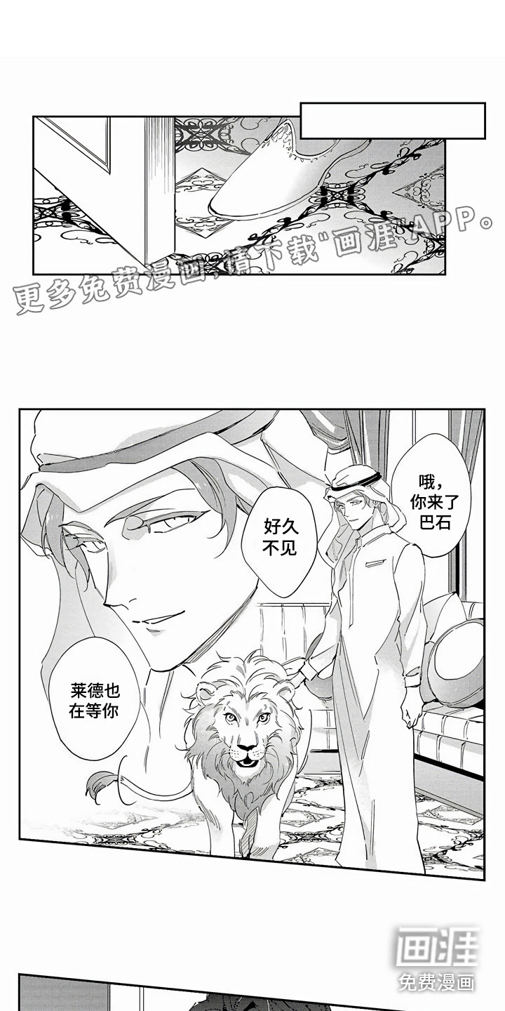 琥珀色新娘第12话图