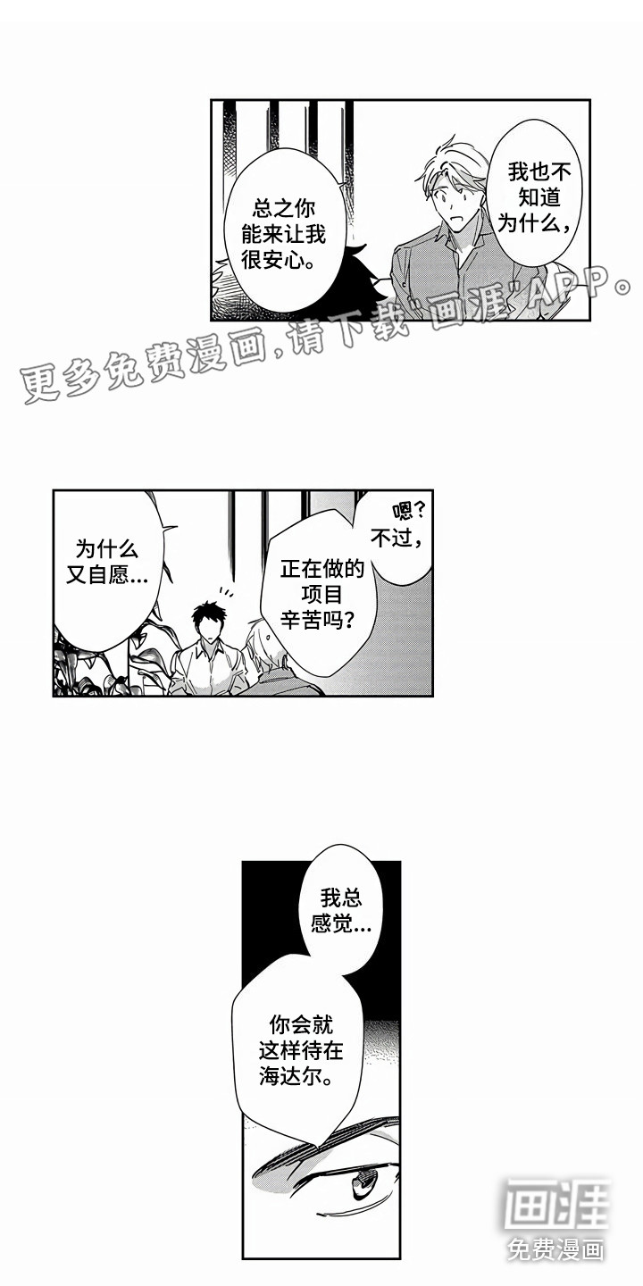 琥珀色新娘第16话图