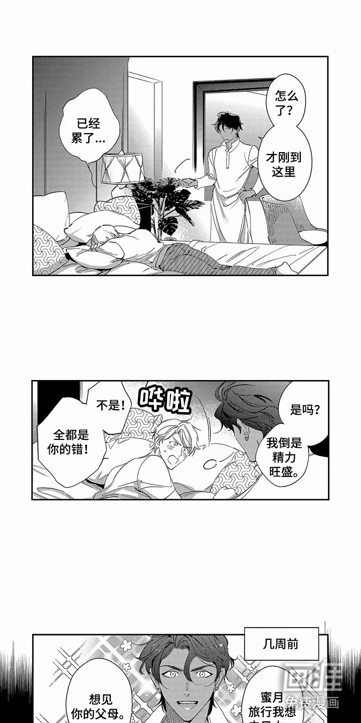 琥珀色新娘第25话图