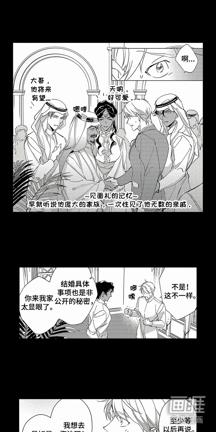 琥珀色新娘第25话图