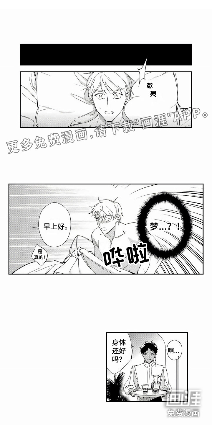 琥珀色新娘第5话图