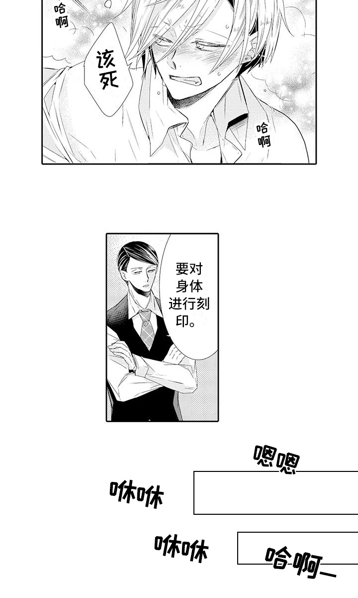 蝴蝶种子第11话图