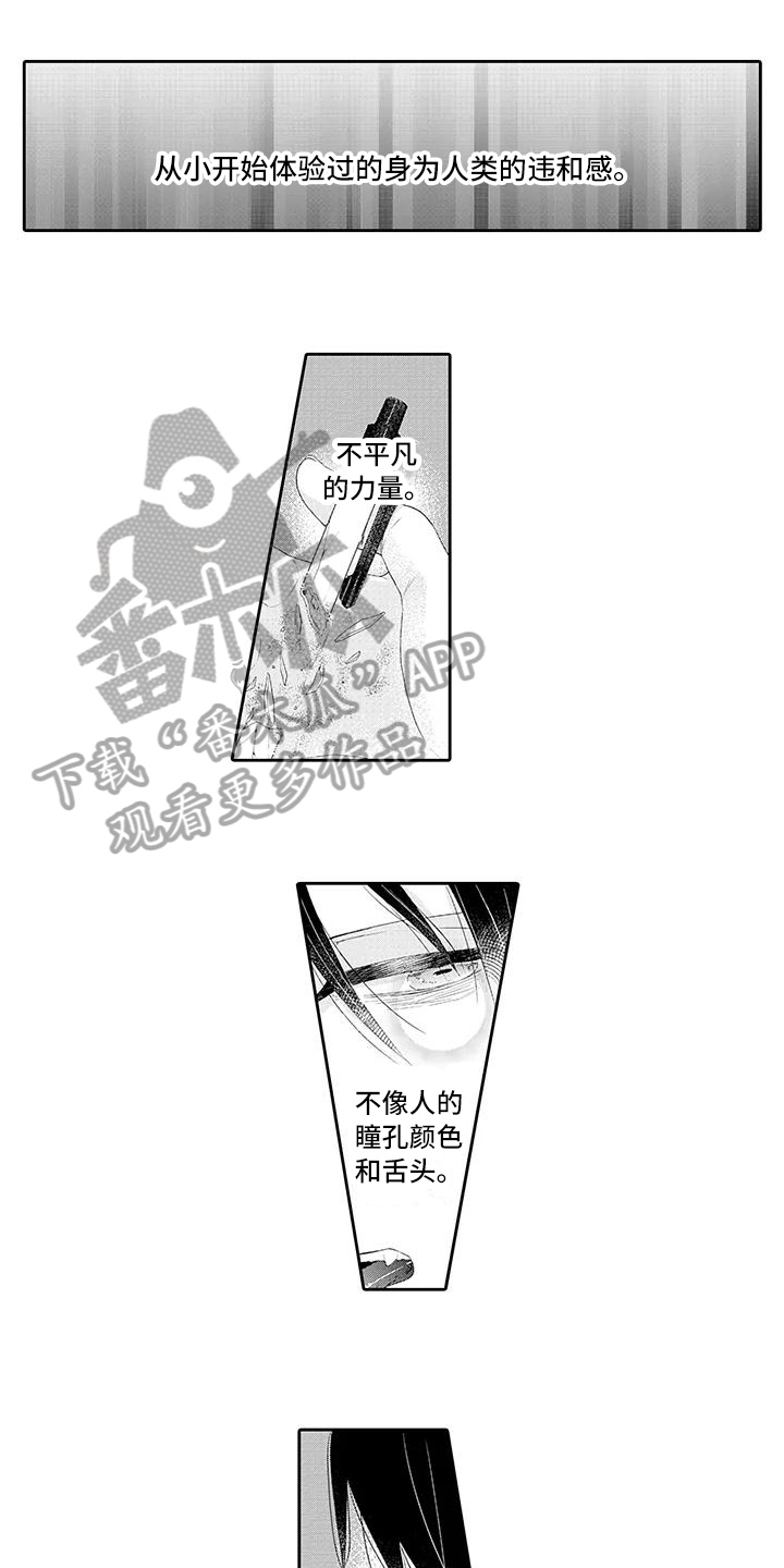 蝴蝶种子第19话图