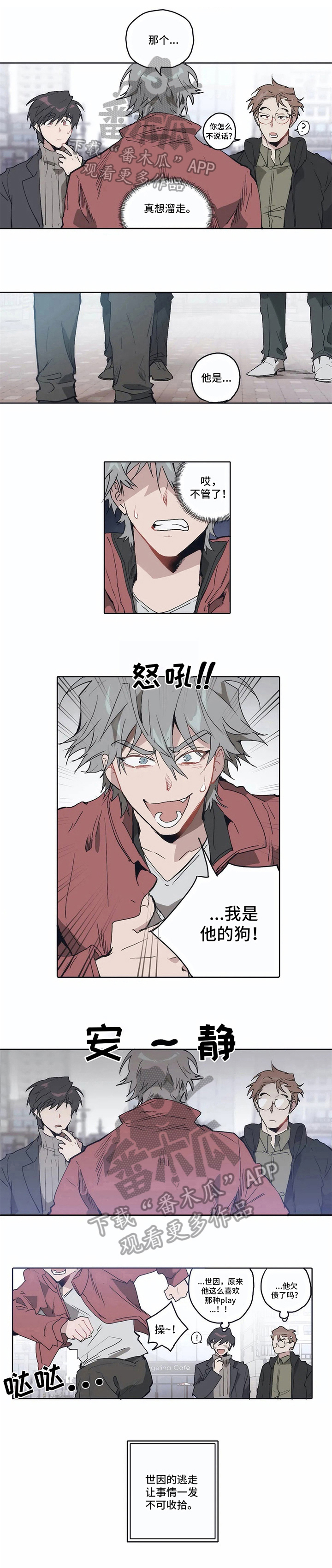 会员的仆从第10话图