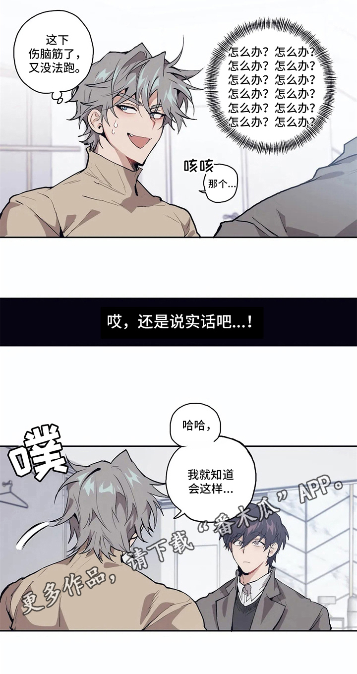 会员的仆从第5话图