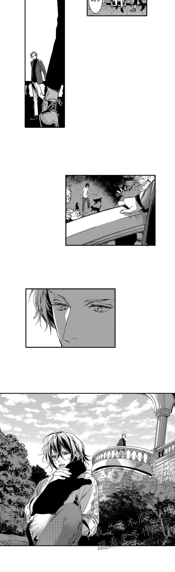 海岛传说第15话图