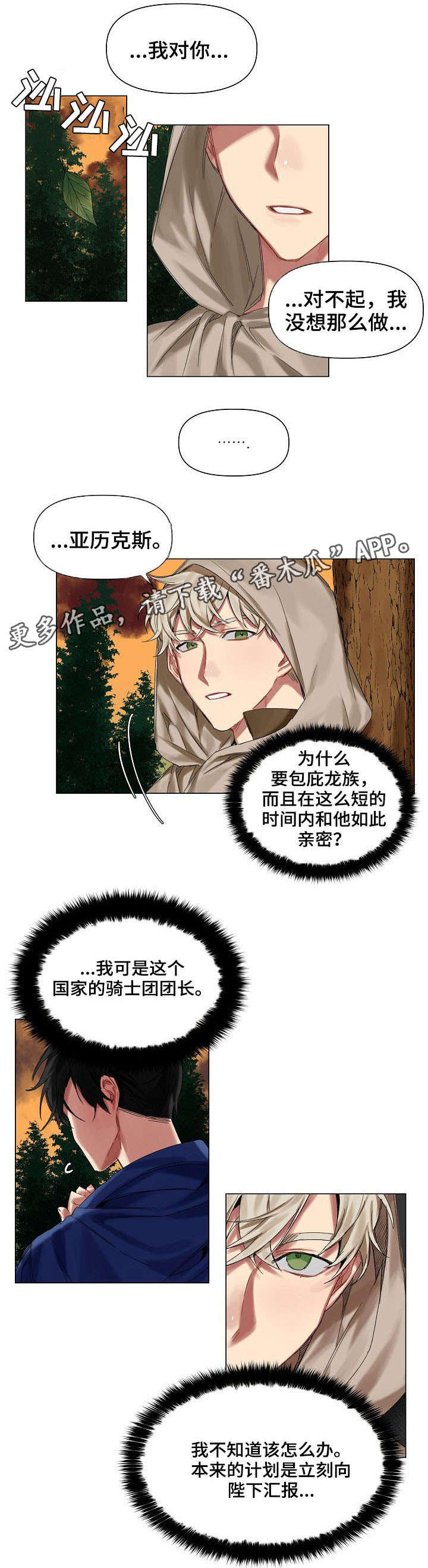 皇家骑士第13话图