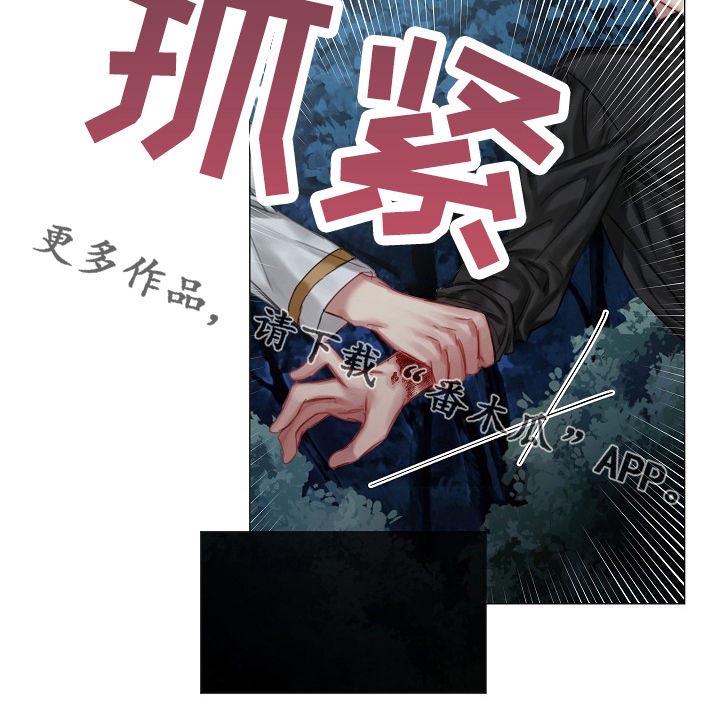 皇家骑士第29话图